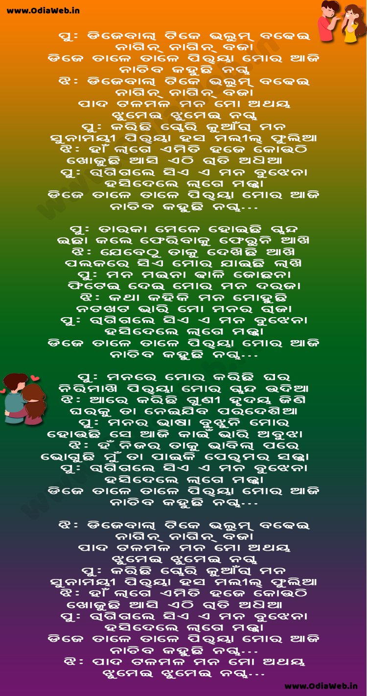 Dj Wala Tike Nagin Nagin Baja