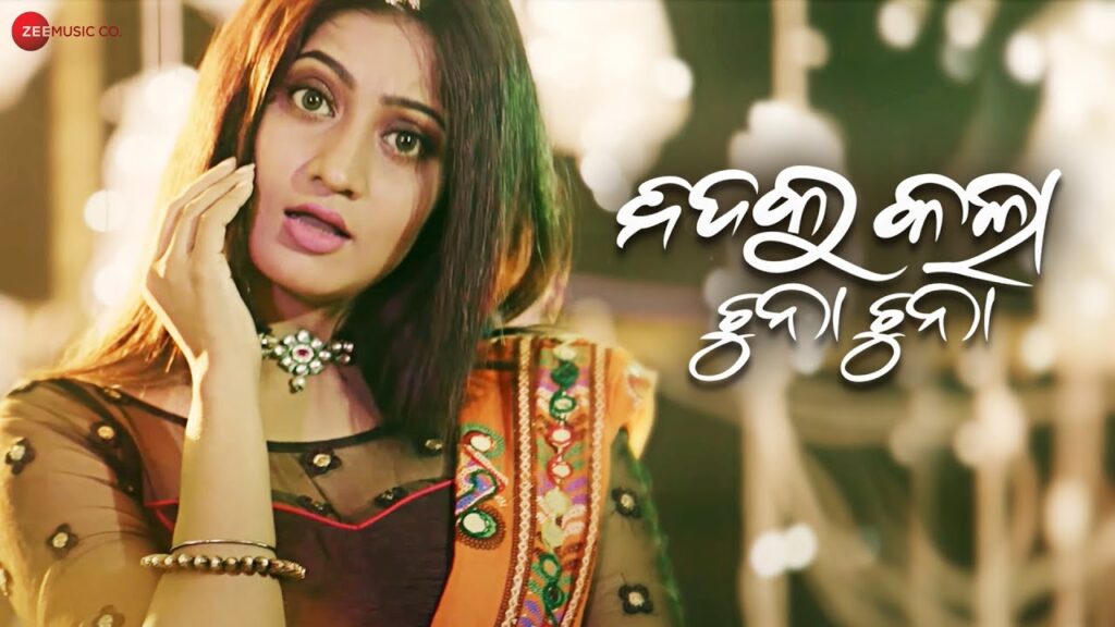 Odia New Film Song Nida Ku Kala Chuna Chuna Lyrics Nidaku Kala Chuna Chuna