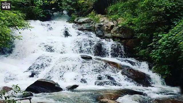 Beautiful Ashok jara