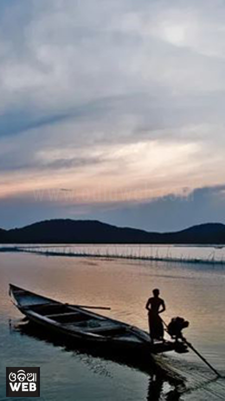 Odisha Chilika Lake mobile