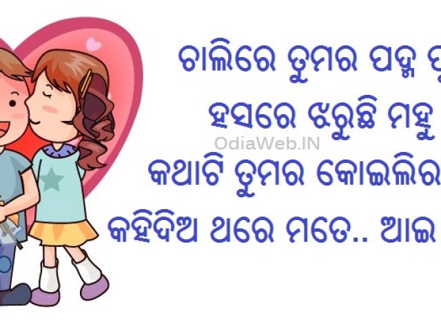 Oriya Love Sayeri 2015 - Chalire Tuma Padma Phute - OdiaWeb- Odia Film,  Music, Songs, Videos, SMS, Shayari, Tourism, News