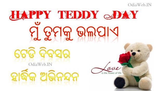 teddy Day oriya sms shayari wallpaper