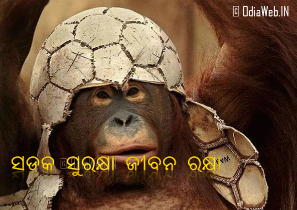 Odia Funny Picture