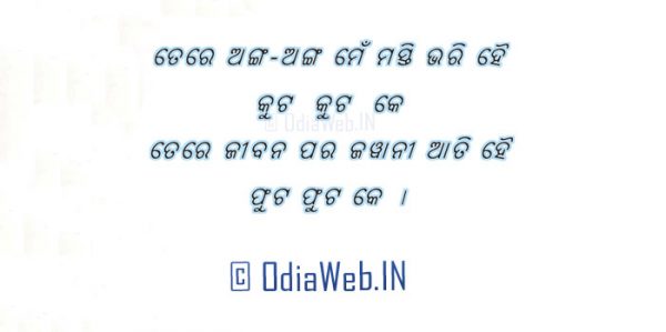 odia-sexy-shayari-sms-facebook