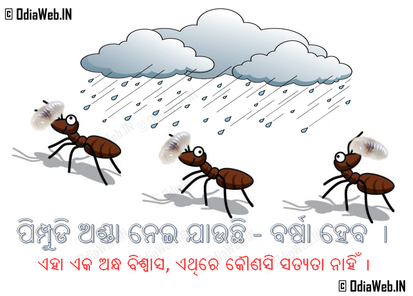 Odia-Andhabiswash-Kusanskar-Superstition Ants Carring Eggs