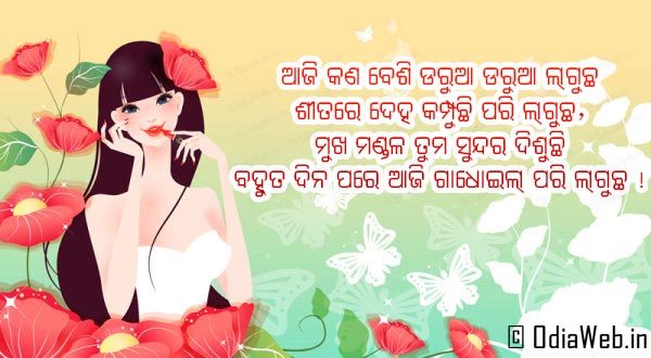 Odia WhatsApp Status Message Latest Odia Shayari Text