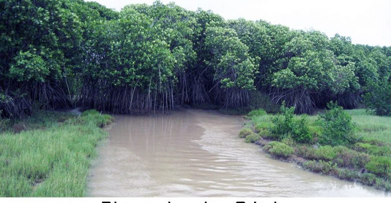 Bhitarakanika, Odisha