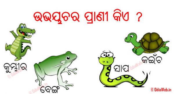 Facebook Odia Questions and Comment 2016