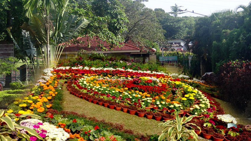 Botanical Garden Bhubaneswar