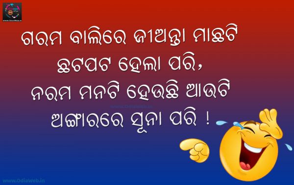 Odia Comedy Shayari Garama bali