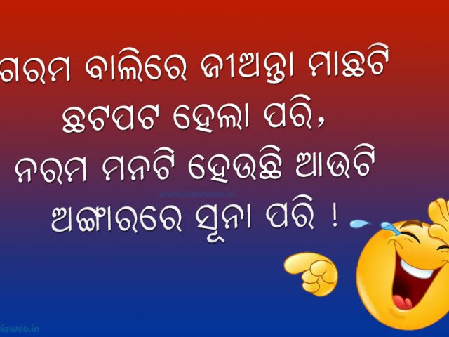 Top 5 Best Odia Comedy Shayari - Odia funny Shayari Collection 2019 Top 5 Best Odia Comedy Shayari - Odia funny Shayari Collection 2019