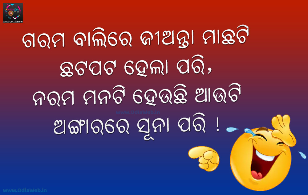 Top 5 Best Odia Comedy Shayari Odia Funny Shayari Collection 2019