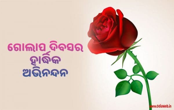 Rose Day Wishes in Odia