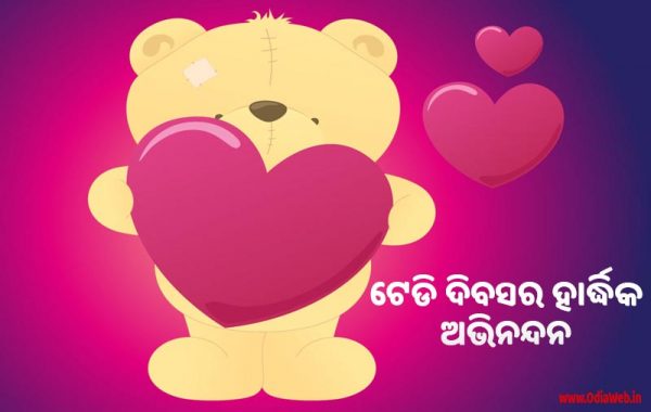 Teddy Day Wishes in Odia