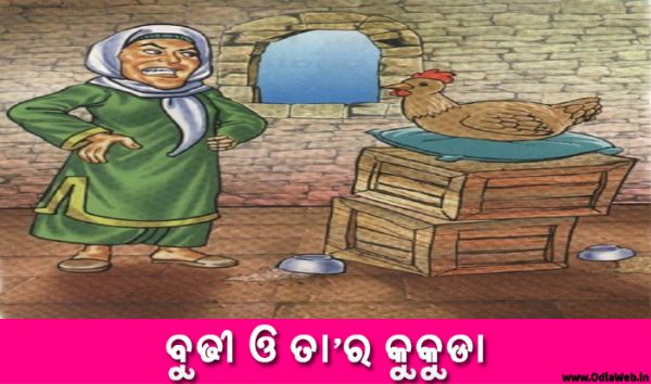 Odia Short Story Budhi o Tara Kukuda