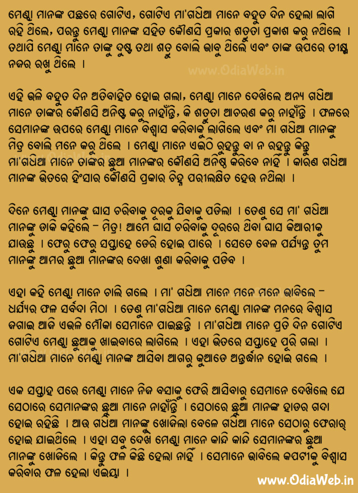 Odia Short Story Kapatiku Biswasa Kara Nahi Book