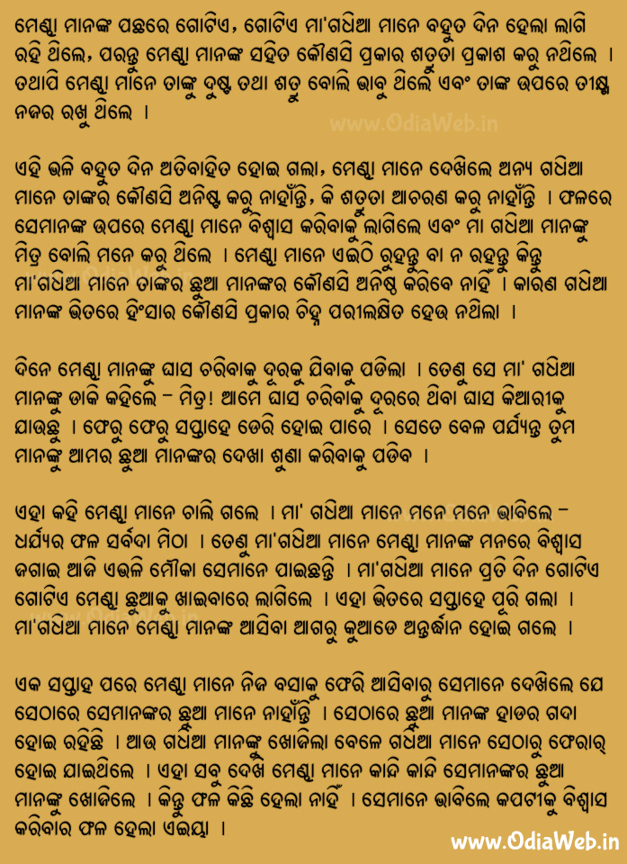 Odia Short Story Kapatiku Biswasa Kara Nahi Book
