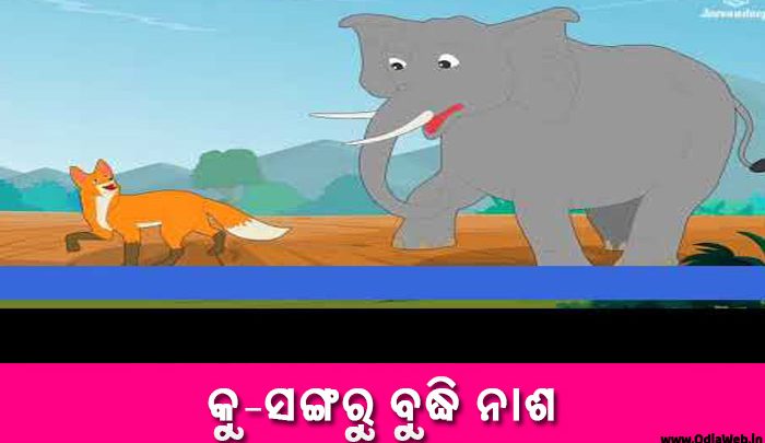 Odia Short Story Ku Sangaru Budhi Nasha