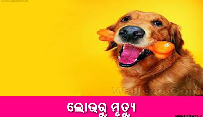 Odia Short Story Lobharu Mrutyu