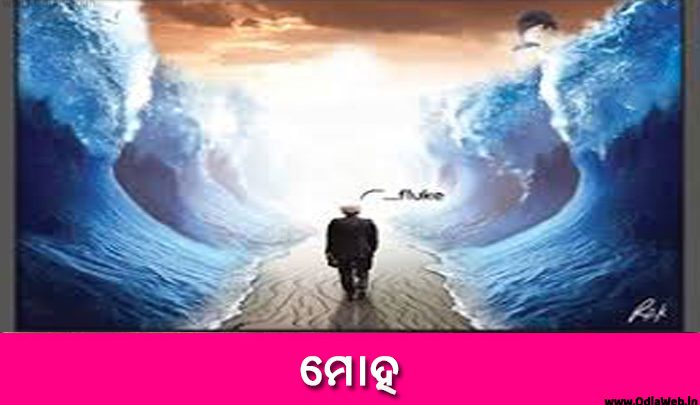 Odia Short Story Moha Book