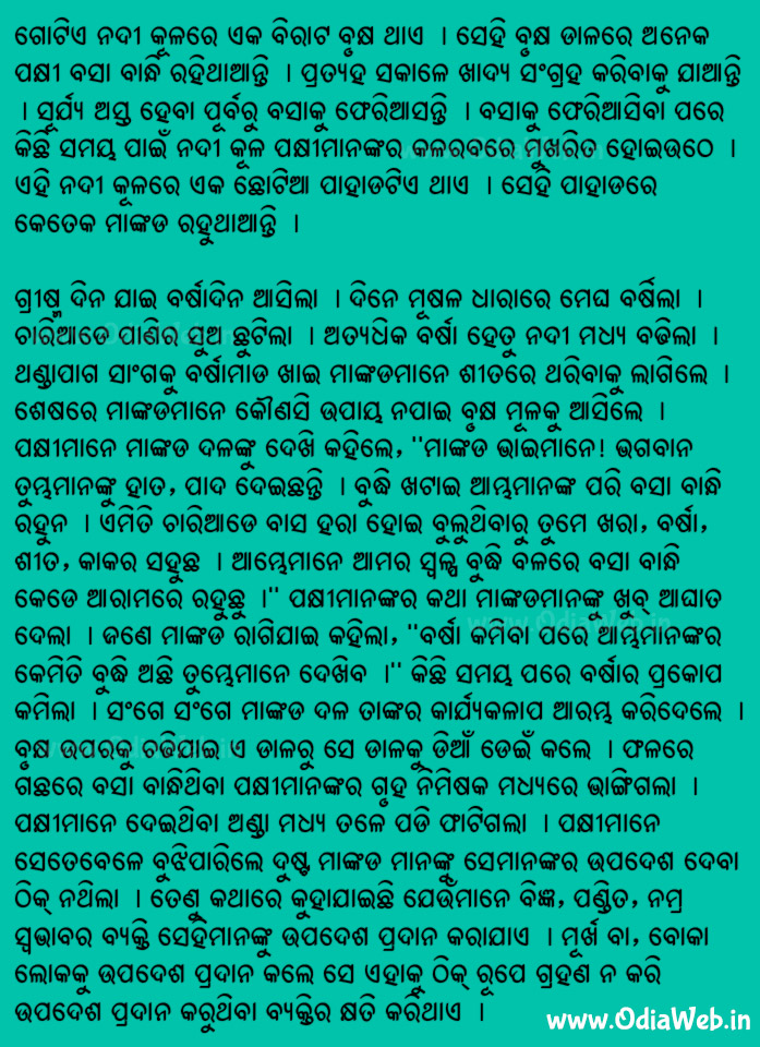 Odia Short Story Pakhi o Mankada Katha Book