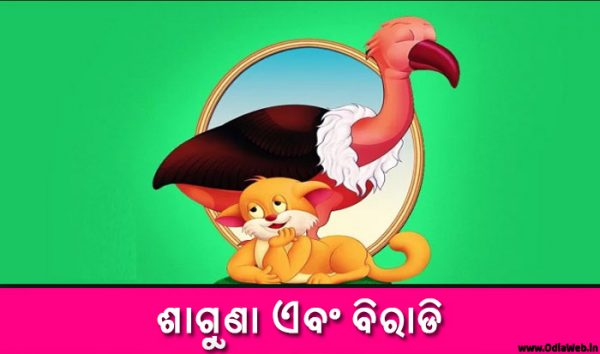 Odia Short Story Shaguna o Biradi