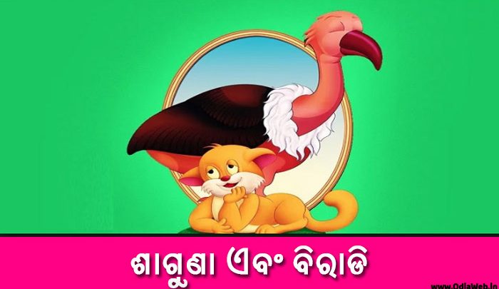 Odia Short Story Shaguna o Biradi