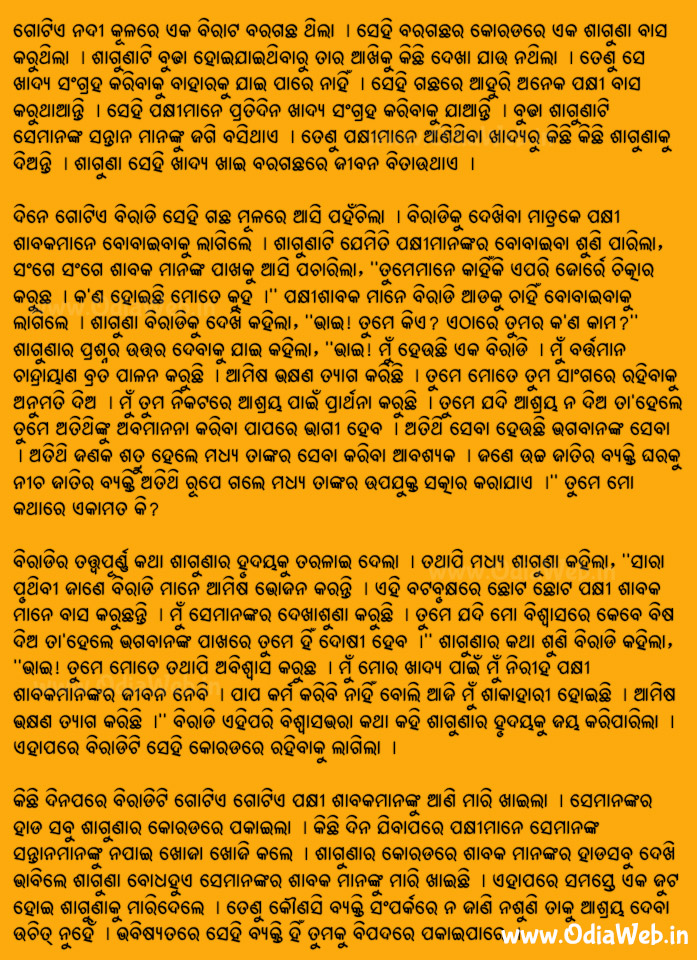 Odia Short Story Shaguna o Biradi Book