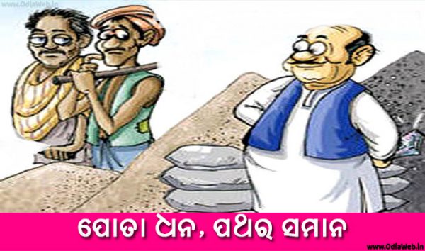 Odia Short Story Pota Dhana Pathara Samana