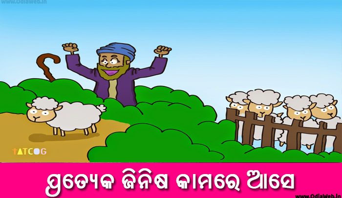 Odia Short Story Pratyaka Jinisha Kamare Ase