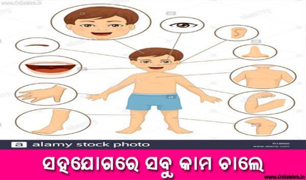 Odia Short Story Sahajogare Sabu Kama Chale