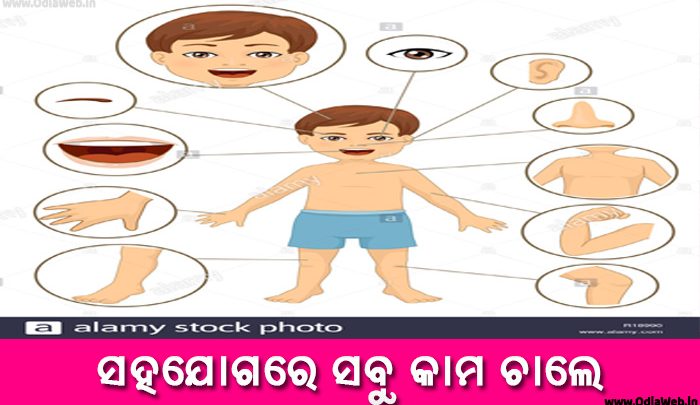 Odia Short Story Sahajogare Sabu Kama Chale