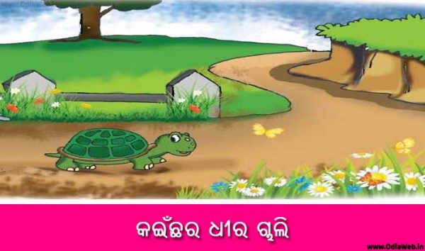 Odia Short Story Kainchara Dhira Chali