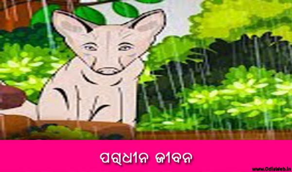 Odia Short Story Paradhina Jibana