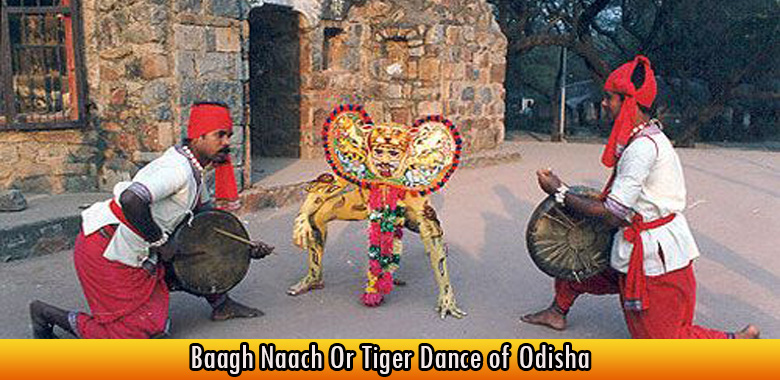 Baagh Naach Or Tiger Dance of Odisha