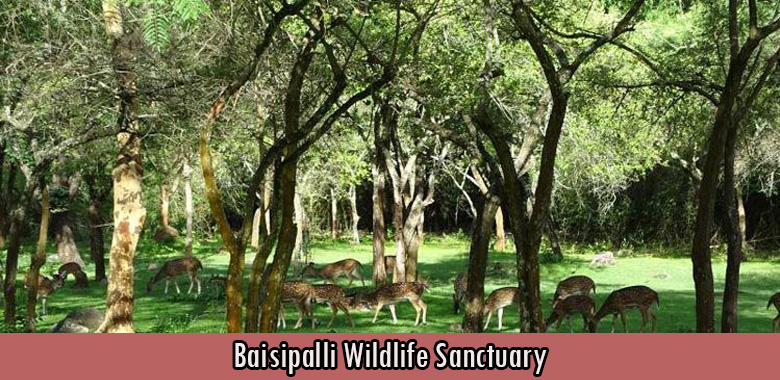 Baisipalli Wildlife Sanctuary