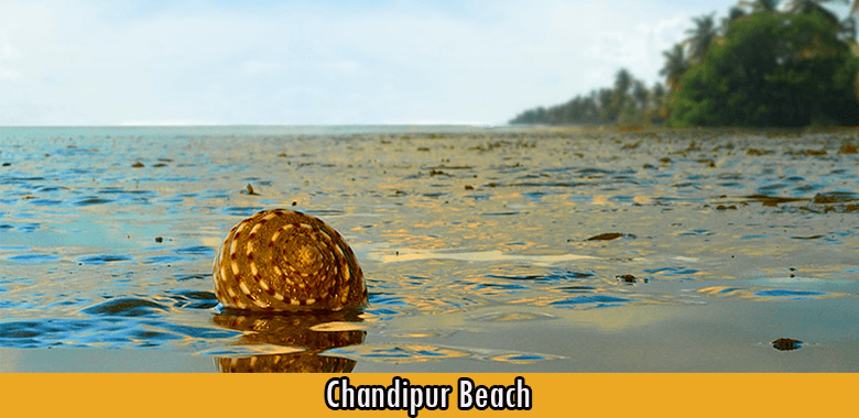 Chandipur Beach