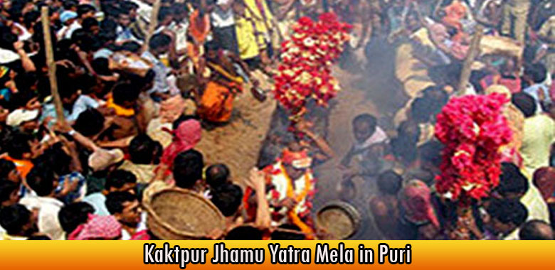 Kaktpur Jhamu Yatra Mela in Puri.