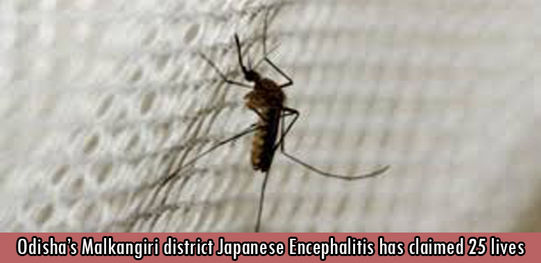 Odisha’s Malkangiri district Japanese Encephalitis has claimed 25 lives