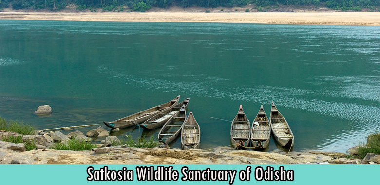 Satkosia Wildlife Sanctuary of Odisha