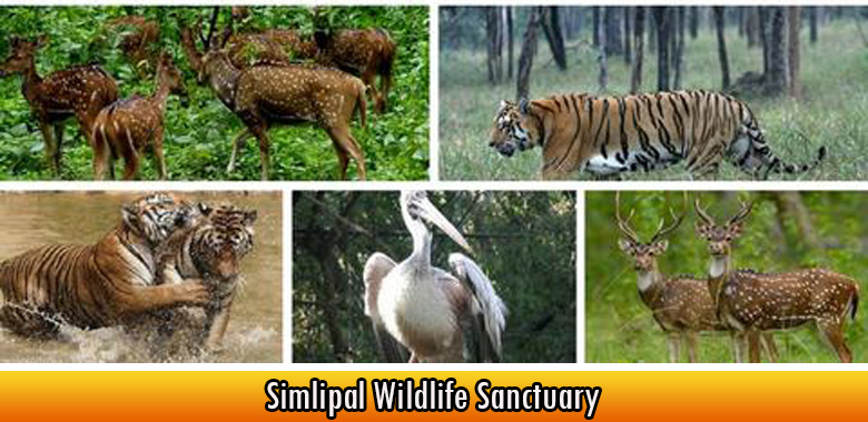 Simlipal Wildlife Sanctuary