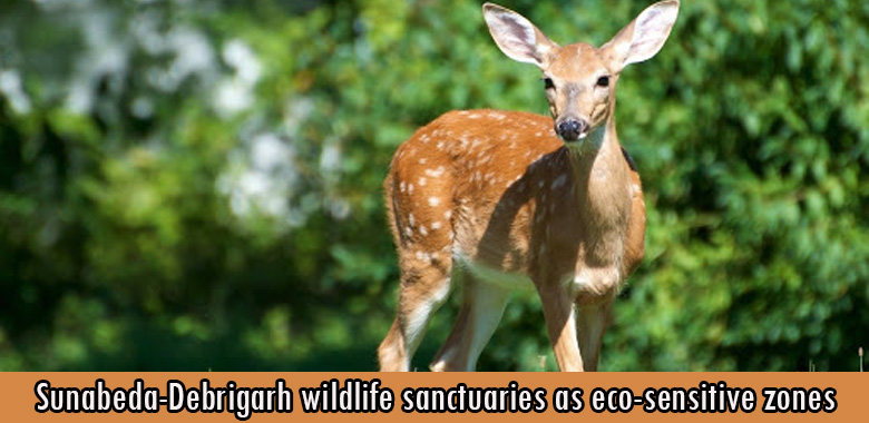 Sunabeda-Debrigarh wildlife sanctuaries as eco-sensitive zones