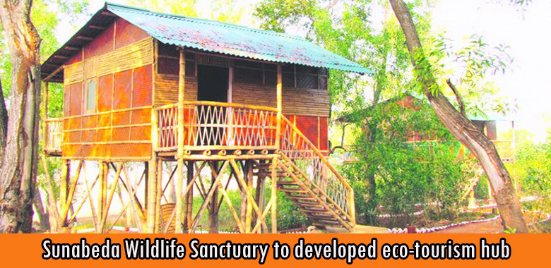 Sunabeda Wildlife Sanctuary to developed eco-tourism hub