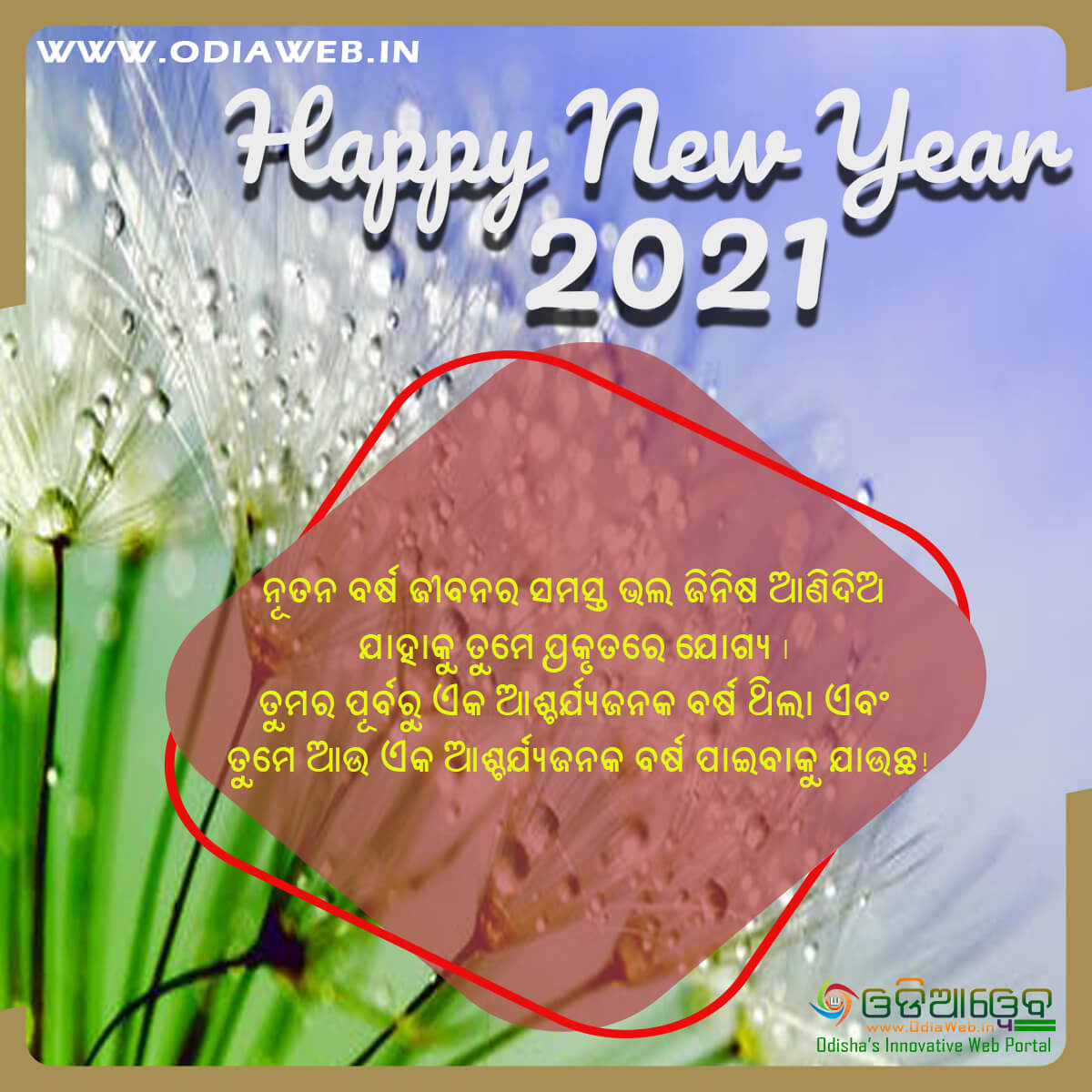 Happy New Year 2021 Wishes Odia (10)