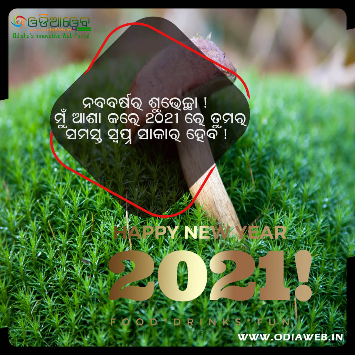 Happy New Year 2021 Wishes Odia (5)