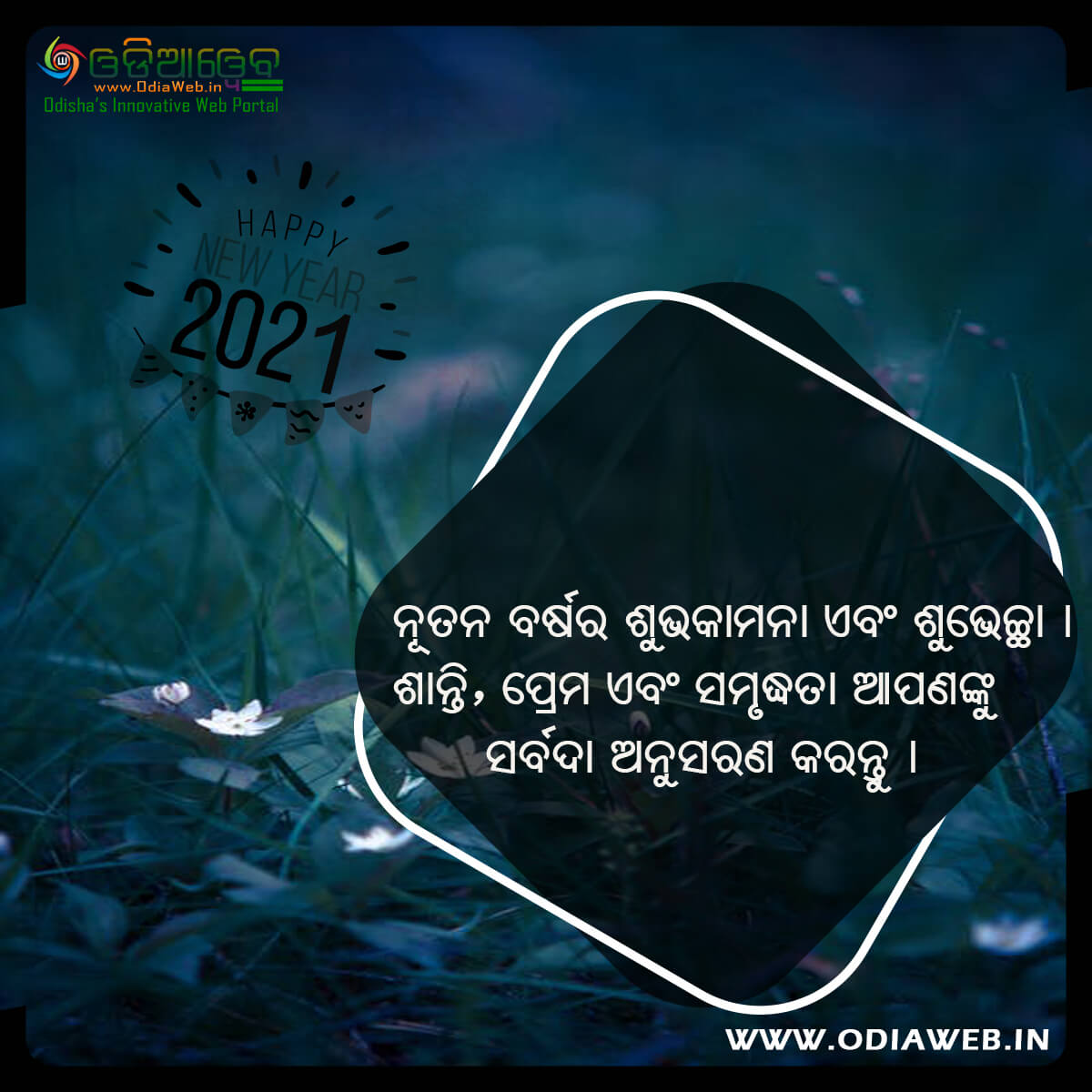 Happy New Year 2021 Wishes Odia (7)