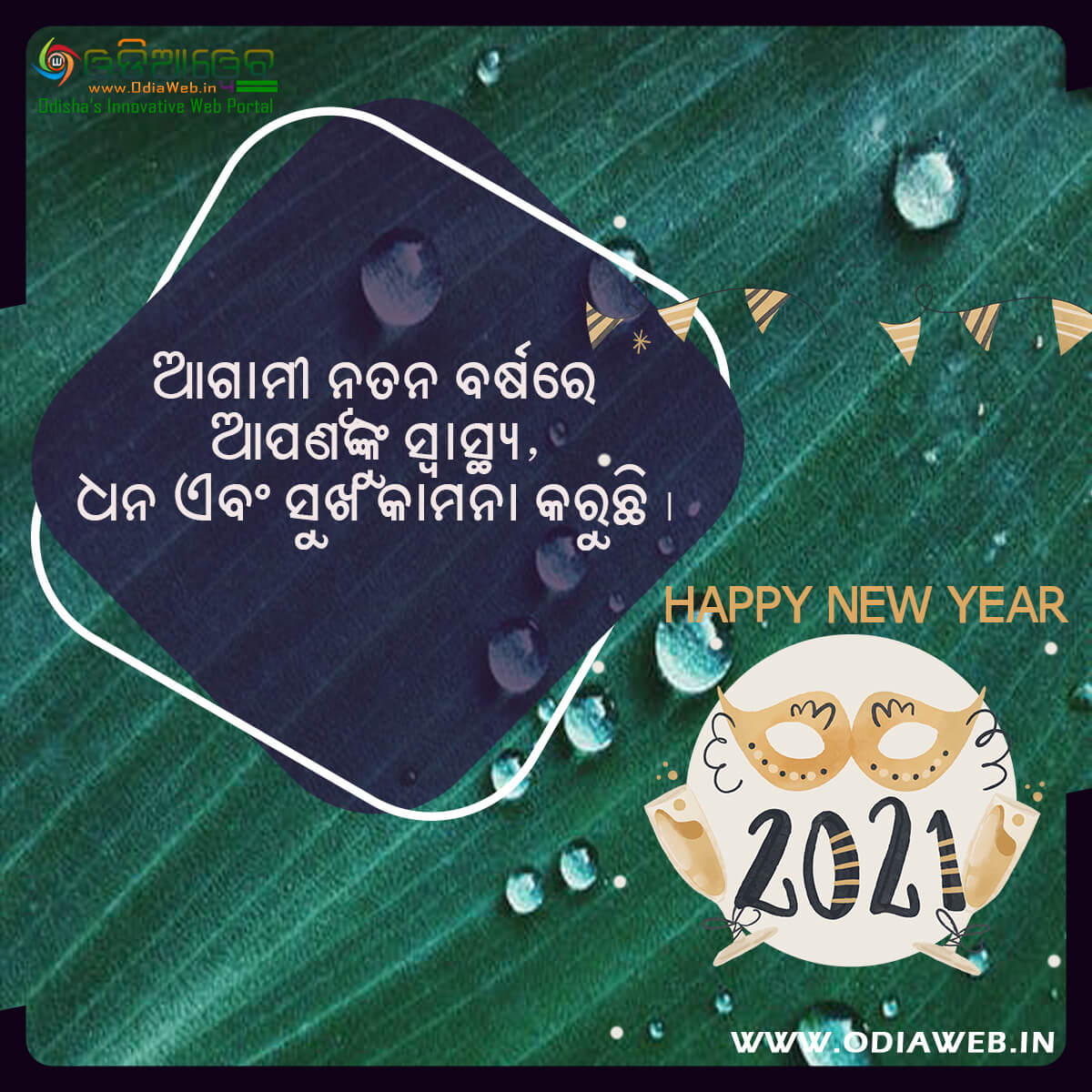 Happy New Year 2021 Wishes Odia (9)