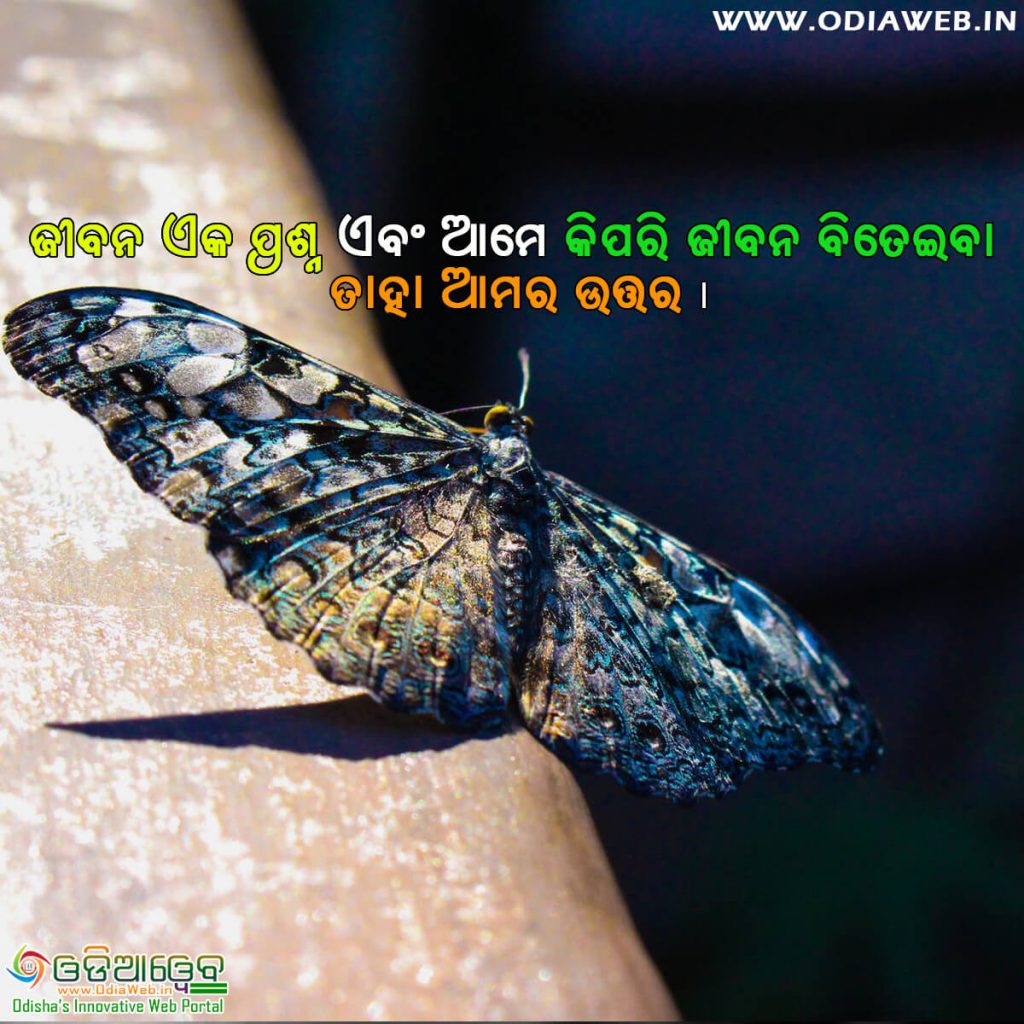 Life Odia Quotes