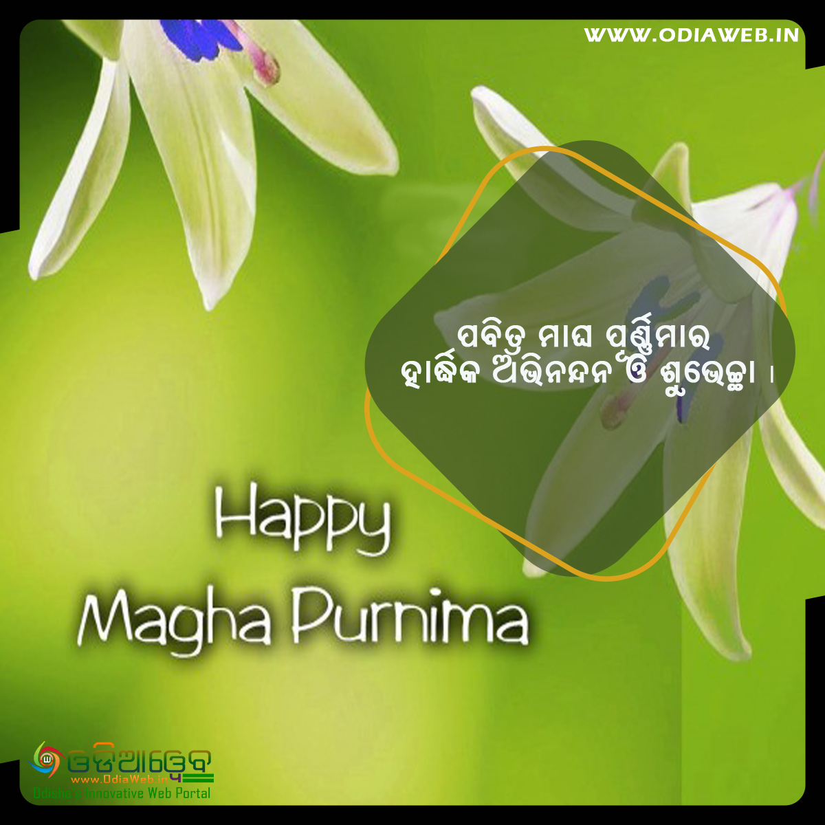 Happy Magha Purnima Odia Wishes