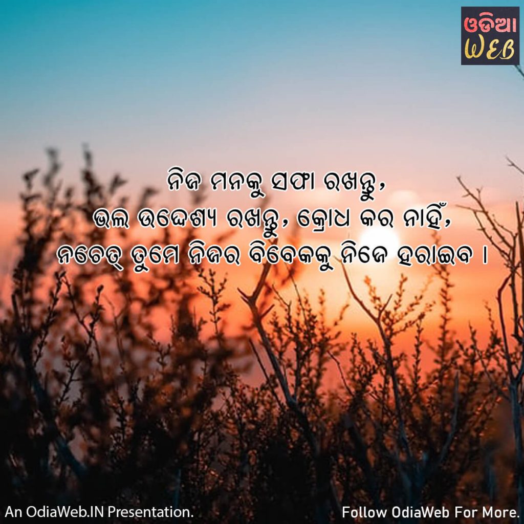 Odia Anger Quotes3